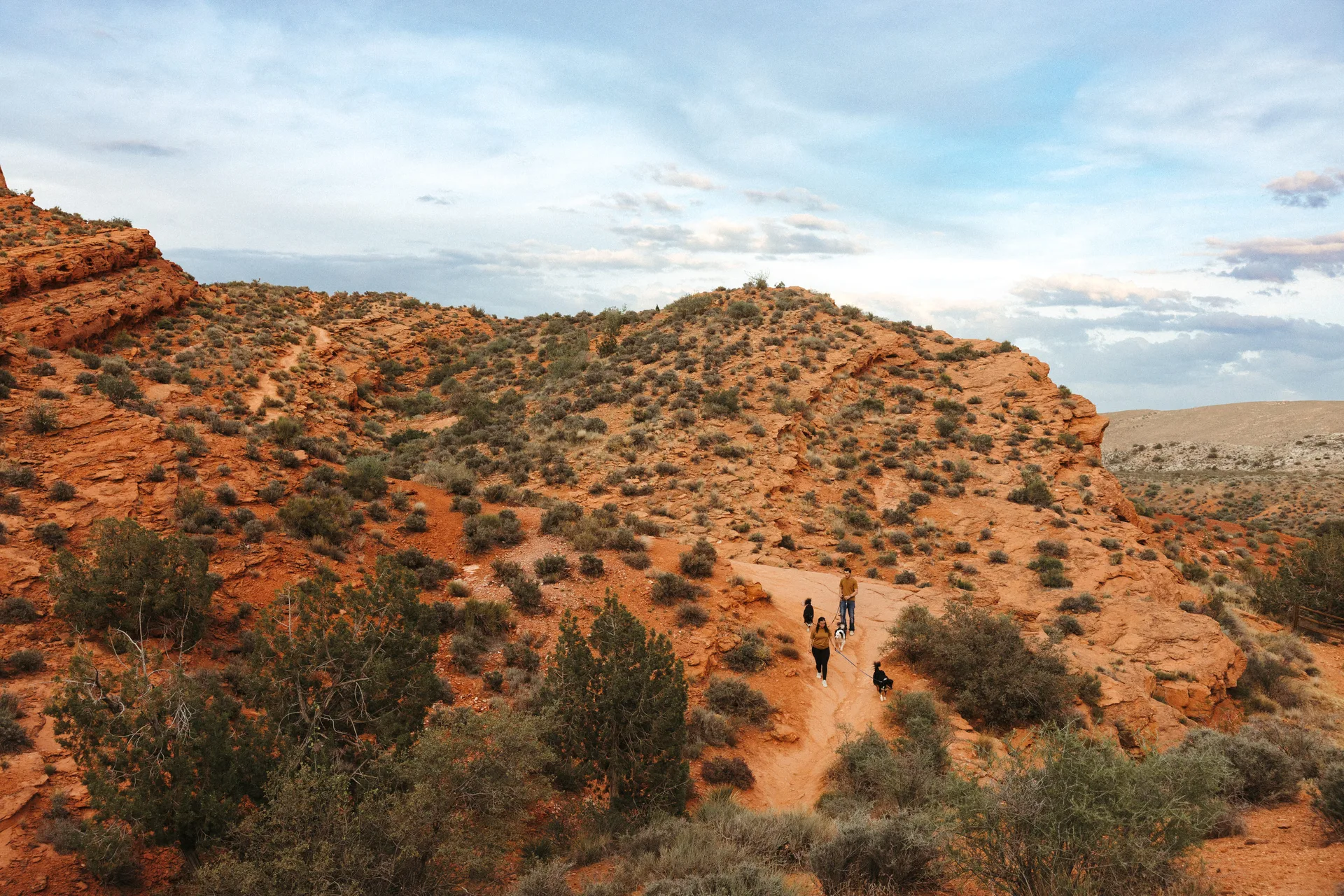 Three dogs on a red rock canyon adventure walk in Southern Utah