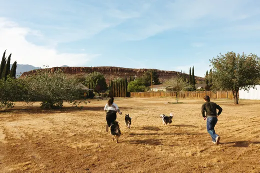 Gallery photo from Full Throttle Dog Camp