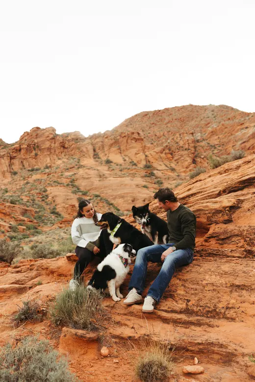 Gallery photo from Full Throttle Dog Camp