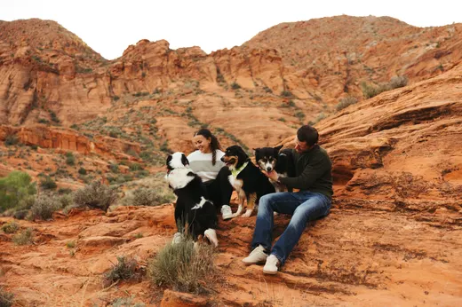 Gallery photo from Full Throttle Dog Camp