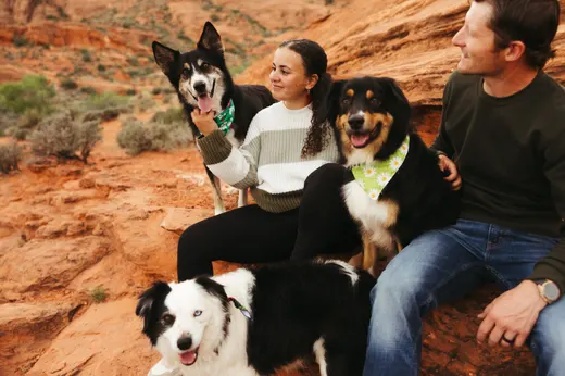 Gallery photo from Full Throttle Dog Camp