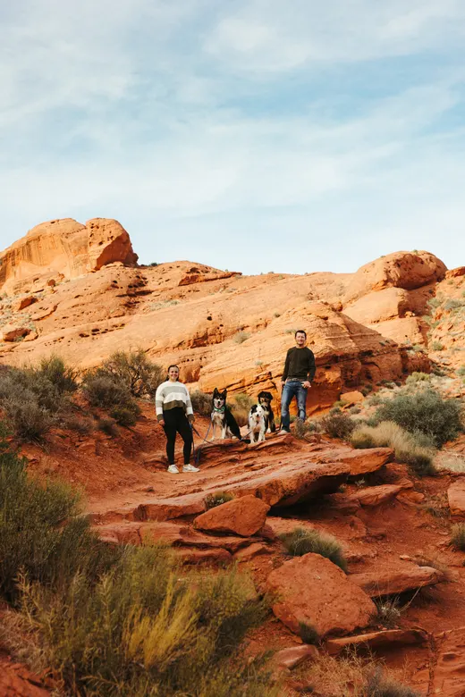 Gallery photo from Full Throttle Dog Camp